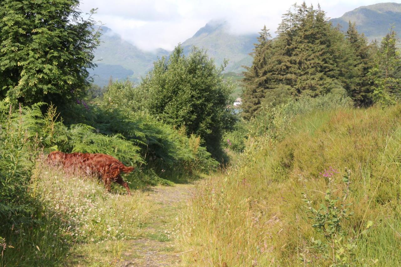 Loch Arklet House Bed & Breakfast Stirling Dış mekan fotoğraf